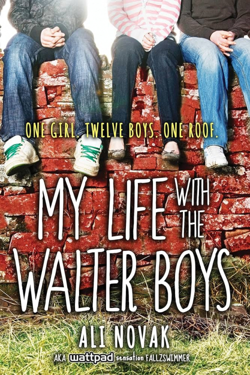 Ma vie avec les Walter Boys - le roman à l'origine de la série Netflix :  Ali Novak, Dabat, Sophie: : Livres