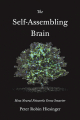 Couverture The Self-Assembling Brain: How Neural Networks Grow Smarter Editions Princeton university press 2021