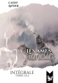 Couverture Les âmes jumelles, intégrale Editions Jenn Ink 2022