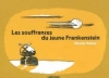 Couverture Les Souffrances du jeune Frankenstein Editions L'Ampoule 2003