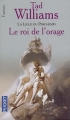 Couverture L'Arcane des Epées, tome 2 : Le Roi de l'Orage Editions Pocket (Fantasy) 2001