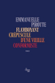 Couverture Flamboyant crépuscule d'une vieille conformiste Editions Le Cherche midi 2024