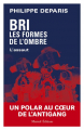 Couverture BRI : Les formes de l'ombre : L'Assaut Editions Mareuil 2024