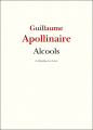 Couverture Alcools Editions Une oeuvre du domaine public 1913