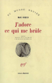 Couverture J'adore ce qui me brûle Editions Gallimard  (Du monde entier) 1963