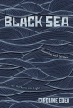 Couverture Black Sea : Un voyage culinaire entre Orient & Occident: Des histoires, des rencontres et près de 60 recettes Editions Hachette (Pratique) 2019