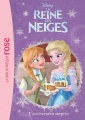 Couverture La reine des neiges, tome 27 : L'anniversaire surprise Editions Hachette (Bibliothèque Rose) 2017