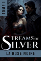 Couverture Streams of Silver, tome 1 Editions Autoédité 2024