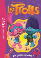 Couverture Les Trolls, tome 08 : Une grande première ! Editions Hachette (Bibliothèque Rose) 2018