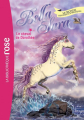 Couverture Bella Sara, tome 20 : Le Cheval de Dorothée Editions Hachette (Bibliothèque Rose) 2015