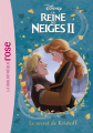 Couverture La Reine des Neiges 2, tome 07 : Le secret de Kristoff Editions Hachette (Bibliothèque Rose) 2020