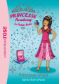Couverture Princesse Academy : Le Palais rubis, tome 5 : Princesse Maya fait le bon choix Editions Hachette (Bibliothèque Rose) 2008
