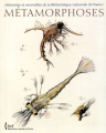Couverture Métamorphoses : Le monde fascinant des insectes Editions Bibliothèque nationale de France (BnF) 2004