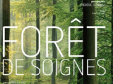 Couverture Forêt de Soignes Editions La renaissance du livre 2010
