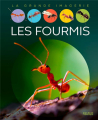Couverture Les fourmis Editions Fleurus (La grande imagerie) 2021
