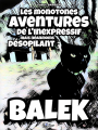Couverture Les monotones aventures de l'inexpressif mais néanmoins désopilant Balek Editions Autoédité 2022
