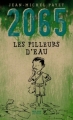 Couverture 2065 : Les pilleurs d'eau Editions Milan (Jeunesse) 2010