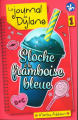 Couverture Le journal de Dylane, tome 01 : Sloche à la framboise bleue / Glace à la framboise bleue / Granita à la framboise bleue Editions Boomerang 2015