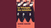 Couverture Le triomphe des imbéciles Editions Actes Sud (Sindbad) 2014