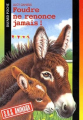 Couverture Foudre ne renonce jamais ! Editions Bayard (Poche - S.O.S. animaux) 2002