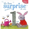 Couverture Le livre surprise de mes 1 an Editions Fleurus 2009