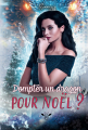 Couverture Dompter un Dragon pour Noël ! Editions Autoédité 2024