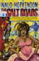 Couverture The Salt Roads Editions Grand Central Publishing 2004