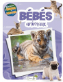 Couverture Les bébés animaux Editions Grenouille 2022