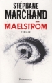 Couverture Maelström Editions Flammarion (Thriller) 2011