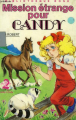 Couverture Mission étrange pour Candy Editions Hachette (Bibliothèque Rose) 1988