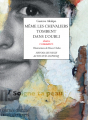 Couverture Même les chevaliers tombent dans l'oubli Editions Actes Sud (Heyoka jeunesse) 2014
