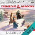 Couverture Les Royaumes Oubliés : La Légende de Drizzt, tome 13 : La Mer des Epées Editions Saga Egmont 2025