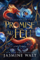 Couverture De Dragons et Fae, tome 1 : Promise au Feu Editions Autoédité 2025
