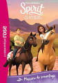 Couverture Spirit : Au galop en toute liberté, tome 7 : Mission de sauvetage Editions Hachette (Bibliothèque Rose) 2020