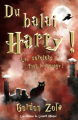 Couverture Du balai, Harry ! Les sorciers font le ménage !  Editions Le Léopard Démasqué 2023
