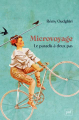 Couverture Microvoyage : Le paradis à deux pas Editions Presses universitaires de France (PUF) 2025