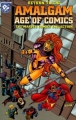 Couverture Return to the Amalgam Age of Comics: The Marvel Comics Collection Editions DC Comics 1996