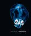 Couverture Abysses Editions Fayard 2006