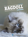 Couverture Le ragdoll pet book chat Editions Artémis 2018