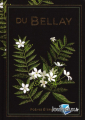 Couverture Poèmes éternels, tome 13 : Du Bellay Editions Hachette (Poèmes éternels) 2024