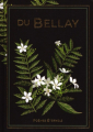 Couverture Poèmes éternels, tome 13 : Du Bellay Editions Hachette (Poèmes éternels) 2024