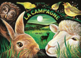 Couverture La campagne, la nuit... Editions de La Martinière 2024
