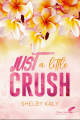 Couverture Just a Little Crush Editions Black Ink 2024