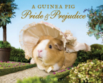 Couverture A guinea pig Pride & Prejudice Editions Bloomsbury 2015