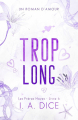 Couverture Les Frères Hayes, tome 6 : Trop long Editions Autoédité 2025