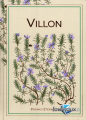 Couverture Poèmes éternels, tome 21 : Villon Editions Hachette (Poèmes éternels) 2024