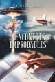 Couverture Rencontres improbables Editions Voy'[el] 2025