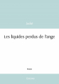 Couverture Les Liquides Perdus de l'Ange Editions Autoédité 2024