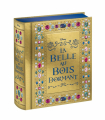 Couverture LA BELLE AU BOIS DORMANT - Le Grimoire - Disney Princesses Editions Hachette (Disney) 2025