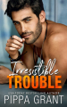Couverture Copper Valley Fireballs, tome 4 : Irresistible Trouble Editions Autoédité 2022